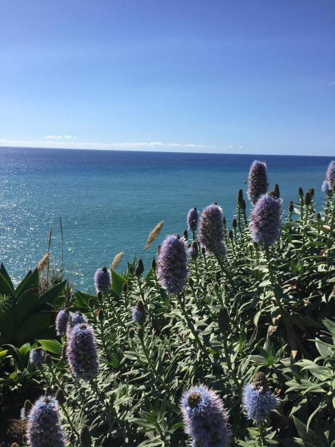 Calheta Ocean View Family Apartment - Air Condition Estreito Da Calheta Buitenkant foto